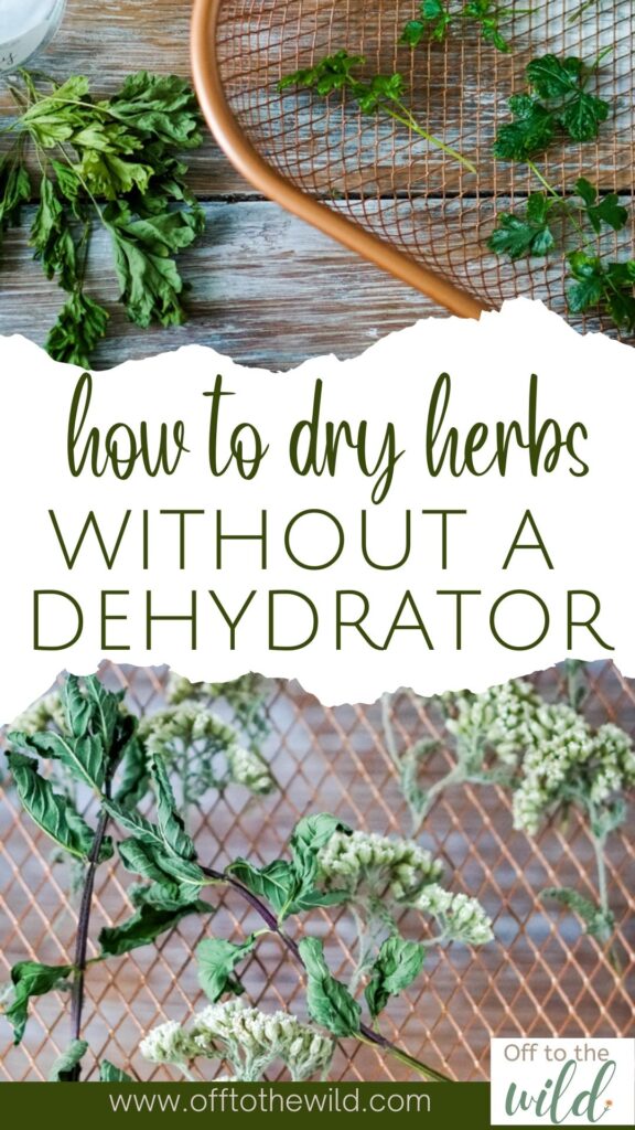 Preserve your herbs and make them last all year by learning how to dry them without a dehydrator. 4 Methods for drying herbs, plus storage tips. 