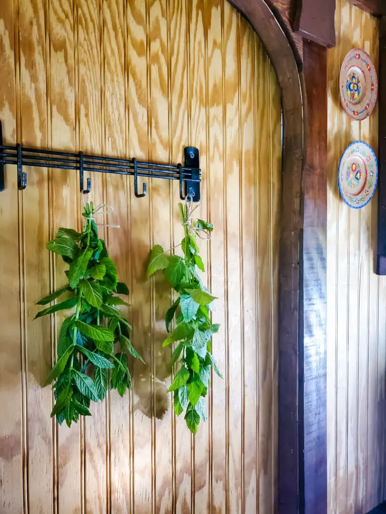 Two bundles of herbs hung to dry in the gypsy wagon. 
