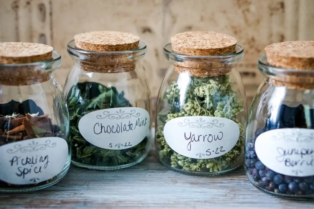 Labeled storage jars of dried herbs. 